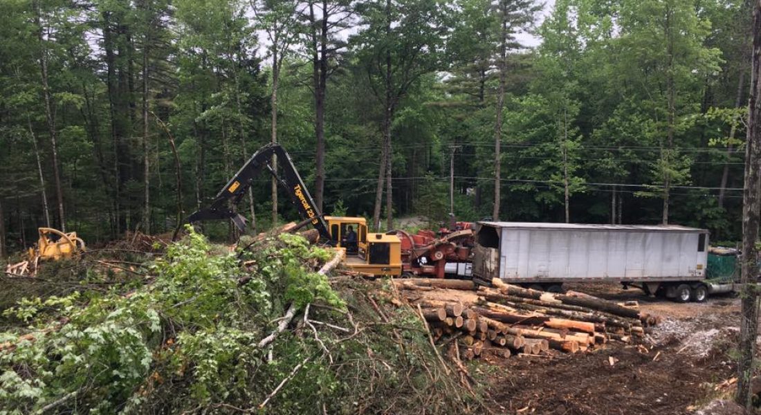 Whyte's Logging